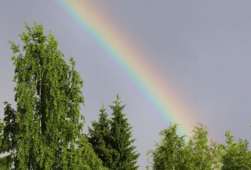 Příběh mladé maminky samoživitelky.